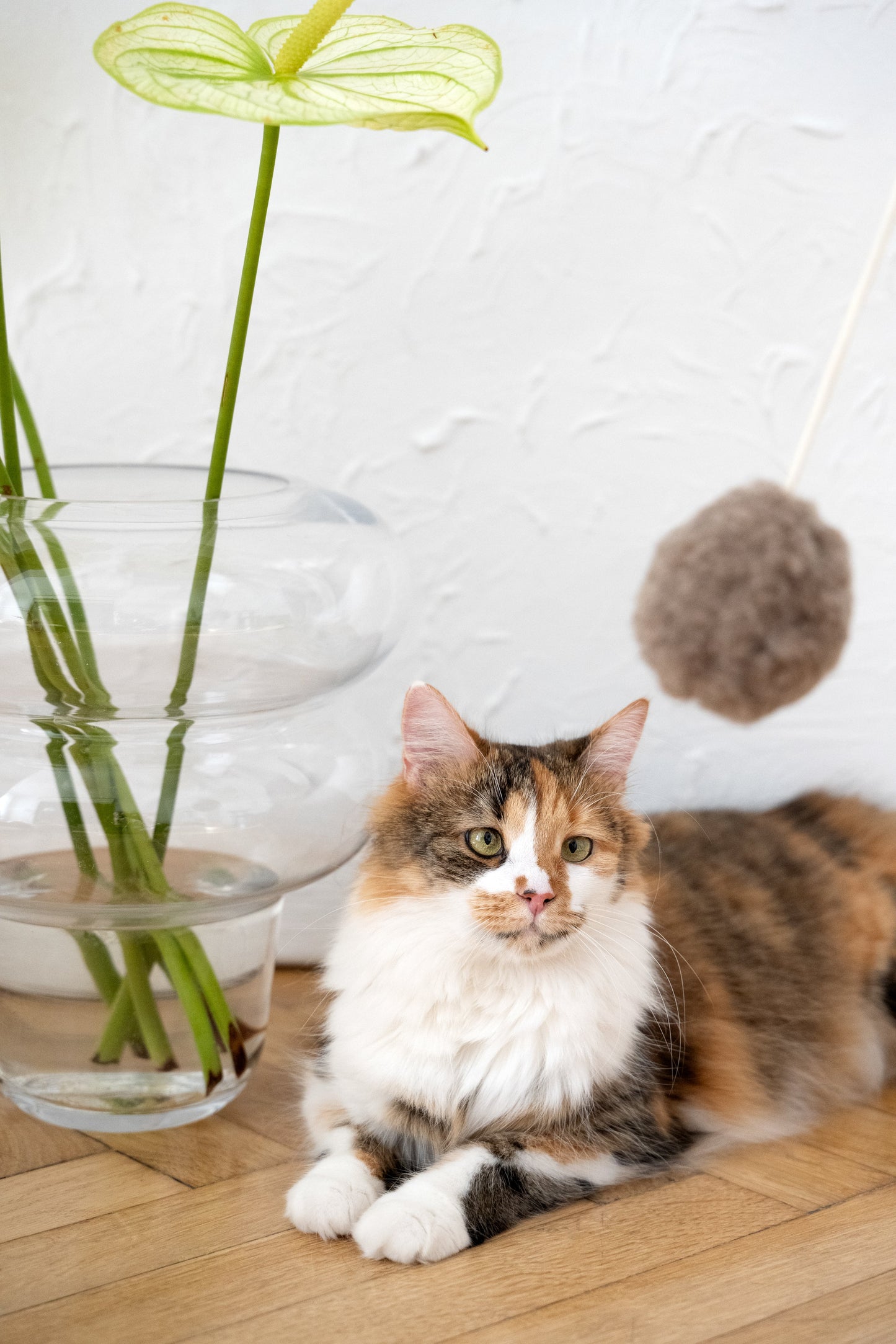 Jouet en laine naturelle pour chat : balle