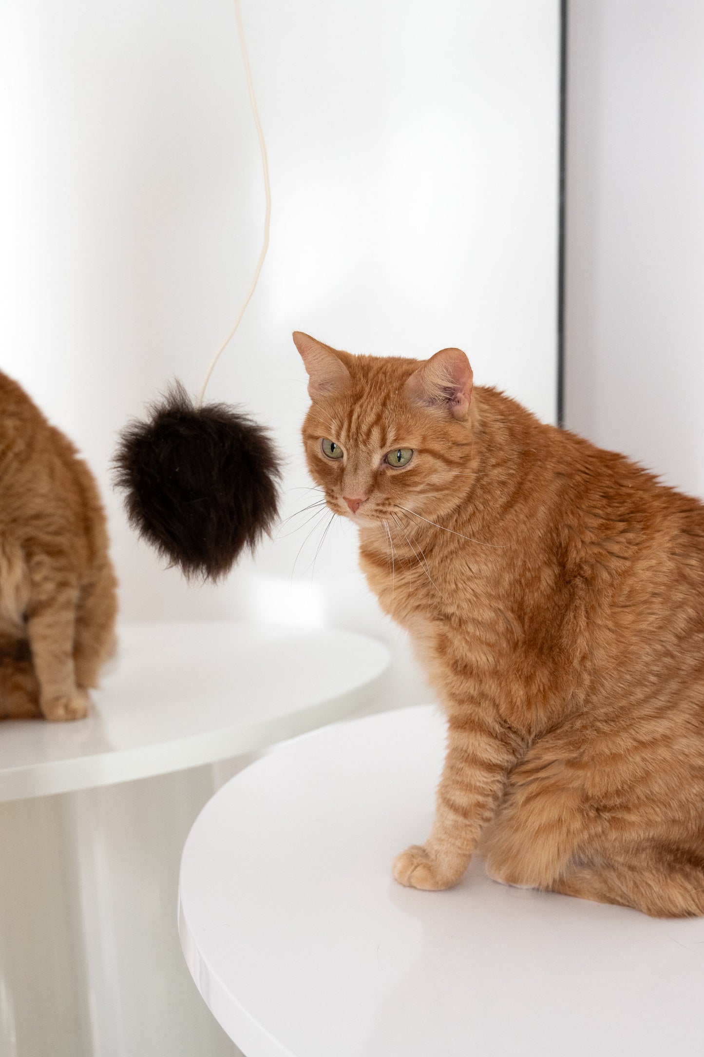 Jouet en laine naturelle pour chat : balle