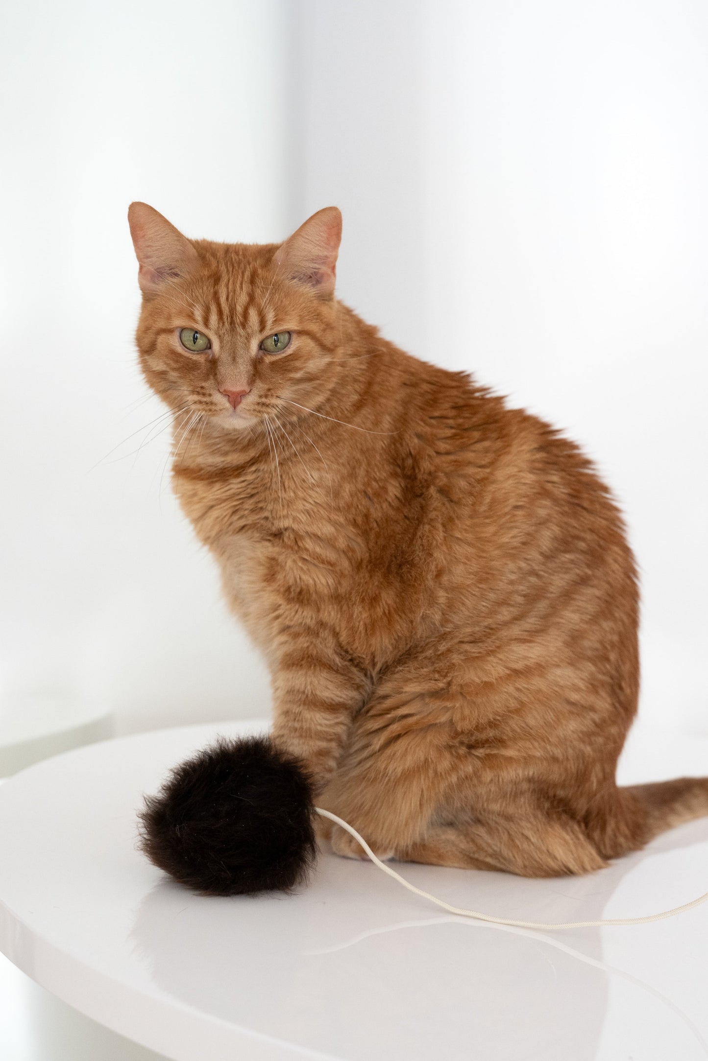 Jouet en laine naturelle pour chat : balle