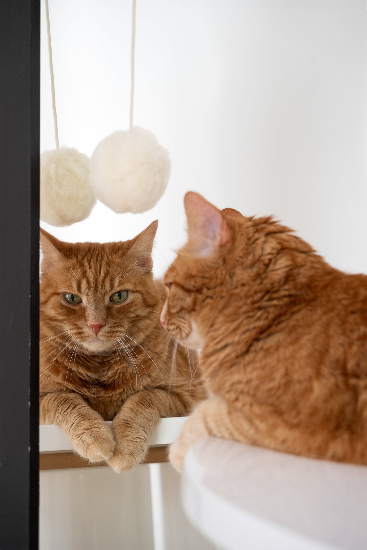 Jouet en laine naturelle pour chat : balle