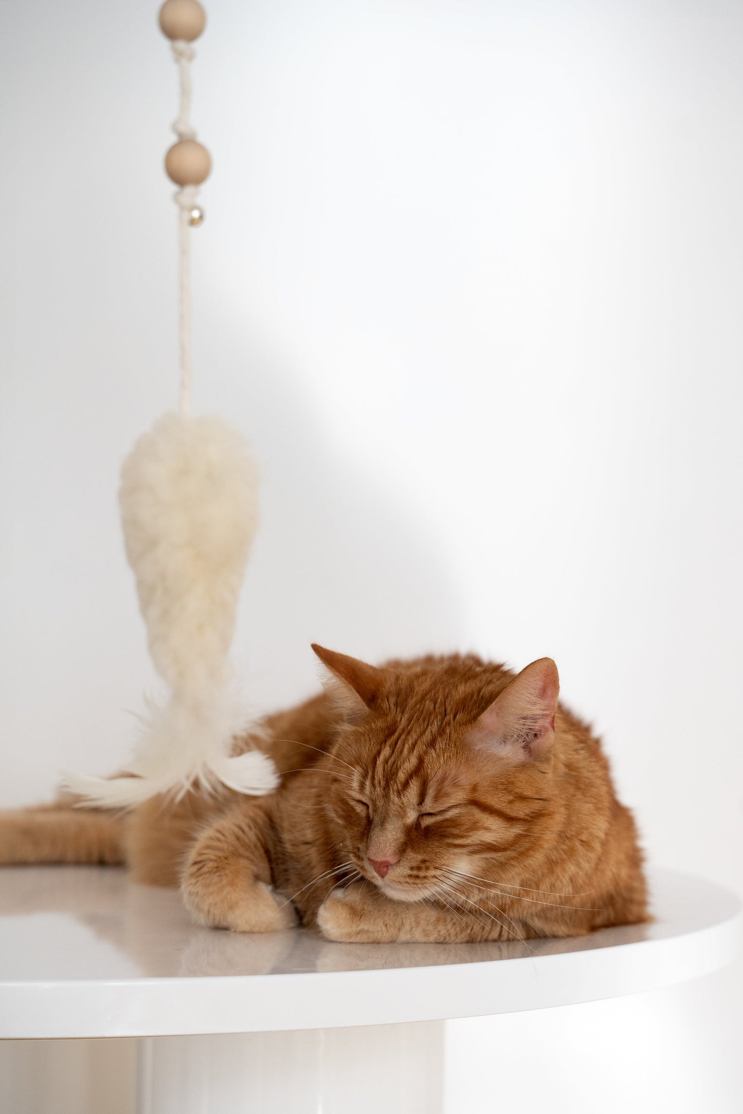 Jouet pour chat en cuir de mouton naturel