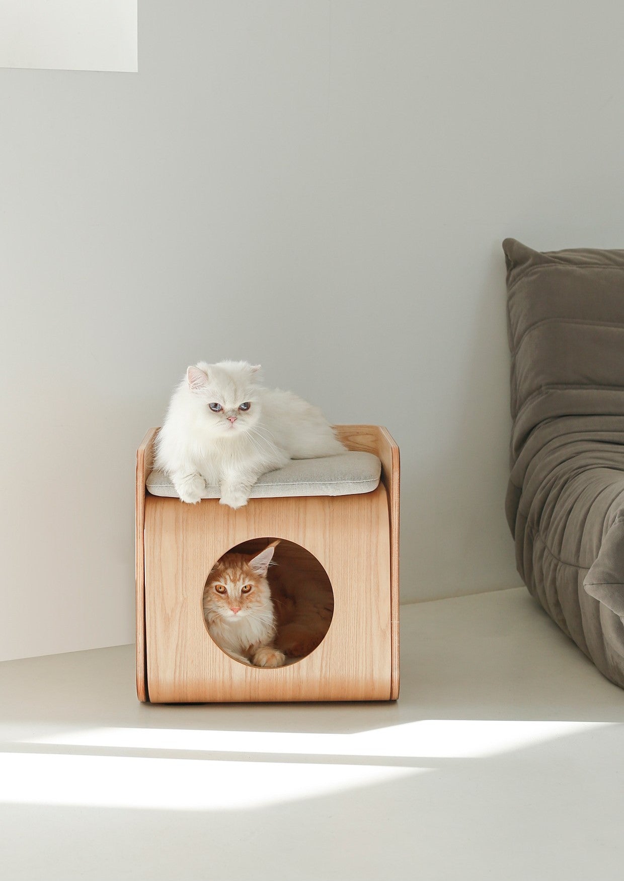 Maison pour chat en bois naturel