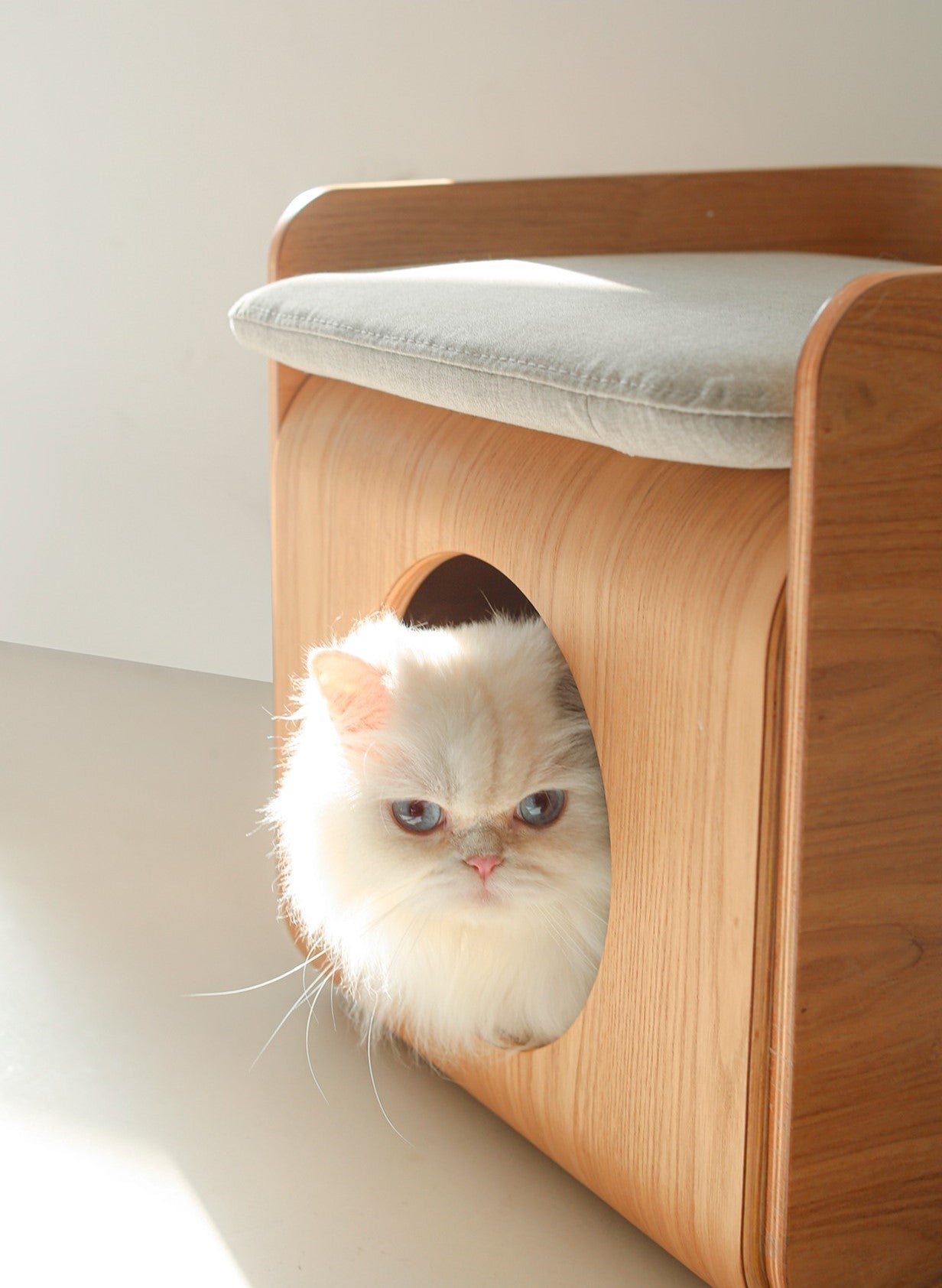 Maison pour chat en bois naturel