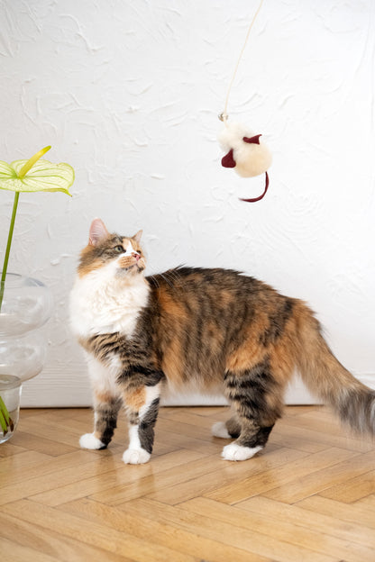 Souris en peau de mouton naturelle pour chat