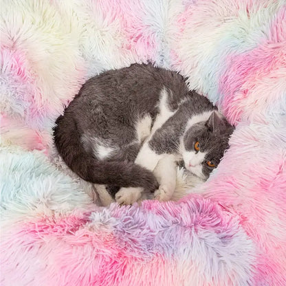 Nid de tunnel en peluche douillet pour chat avec jouet balle suspendu